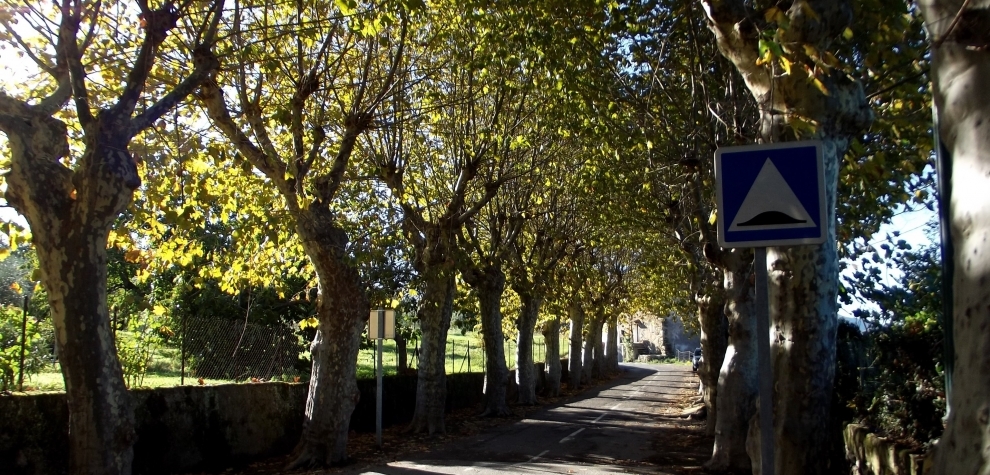 Accueil Commune de Rapale  Autres